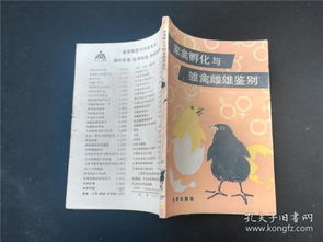 家禽孵化與雛禽雌雄鑒別