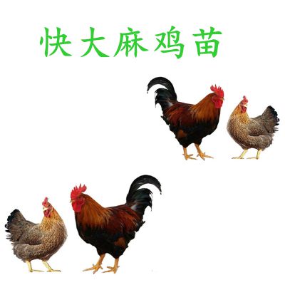 價(jià)格 廠(chǎng)家 中國(guó)供應(yīng)商