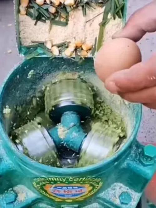 節約成本 水產養殖 養殖小妙招 家禽養殖 科學喂養