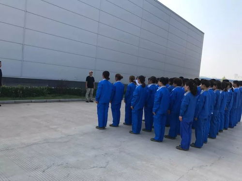 熔煉團(tuán)隊(duì) 凝心聚力 華裕國際家禽孵化中心拓展訓(xùn)練