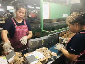 拼多多半年孵化五千萬訂單,電商對工廠的執(zhí)念