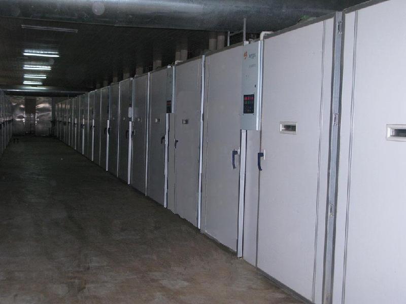 西洼鵝苗家禽孵化場 - 商國互聯(lián)網(wǎng)