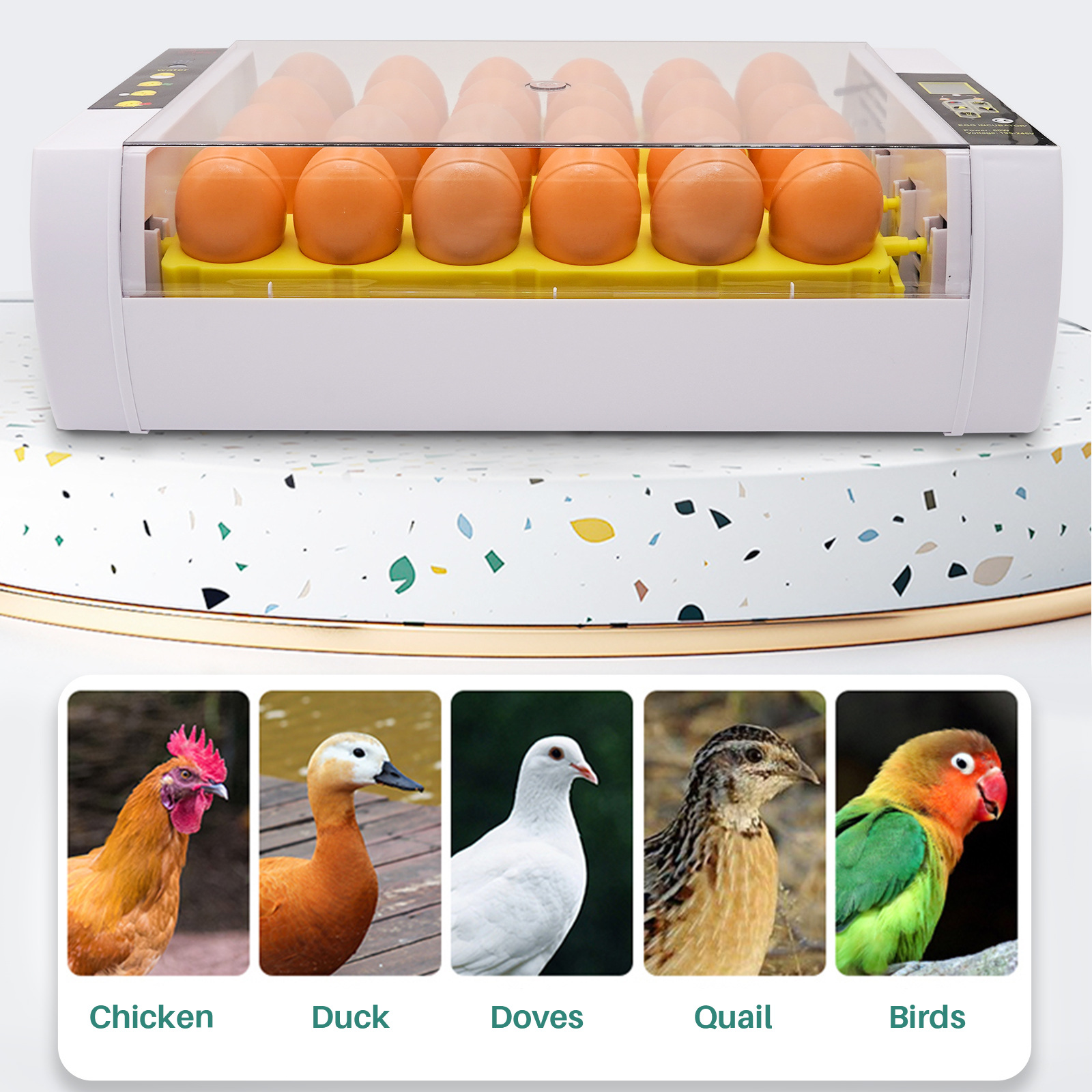 孵化器家用智能小雞養殖孵化設備24枚雞蛋家禽孵化機鳥類孵蛋器