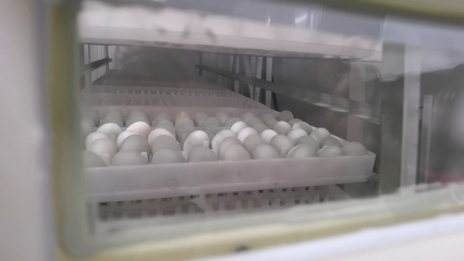 科技如何賦能農業發展?來華農“智慧小院”瞧瞧