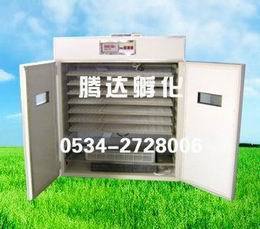 【雞鴨鵝孵化設(shè)備】_雞鴨鵝孵化設(shè)備價格_雞鴨鵝孵化設(shè)備批發(fā)_雞鴨鵝孵化設(shè)備供應(yīng)商-搜了網(wǎng)雞鴨鵝孵化設(shè)備產(chǎn)品搜索