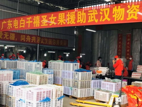疫情面前有大愛,廣東農(nóng)企在行動 家禽 水產(chǎn)品 蔬菜 陳皮 奶產(chǎn)品等馳援湖北