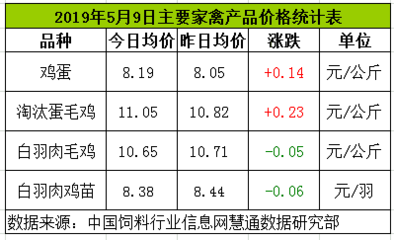 雞蛋、淘雞繼續偏強 白羽肉雞、肉雞苗高位震蕩