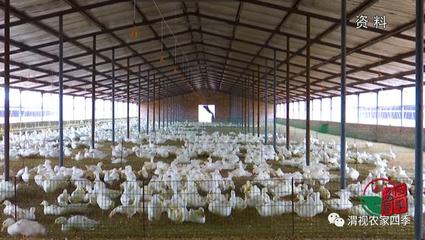 渭南市農業產業(企業)復工率達96.6%