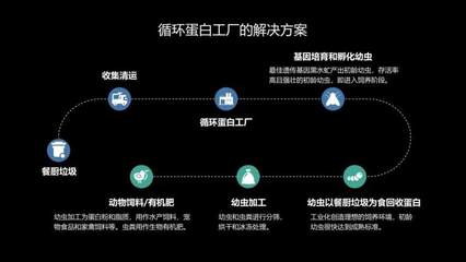 國內每年產生1億噸餐廚廚余垃圾，豐晟生態(tài)通過黑水虻飼養(yǎng)打造循環(huán)蛋白家禽孵化