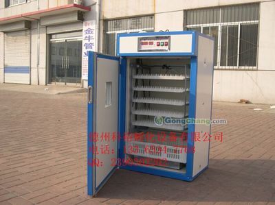 安徽華大集團家禽育種 高效專業(yè)的家禽孵化解決方案