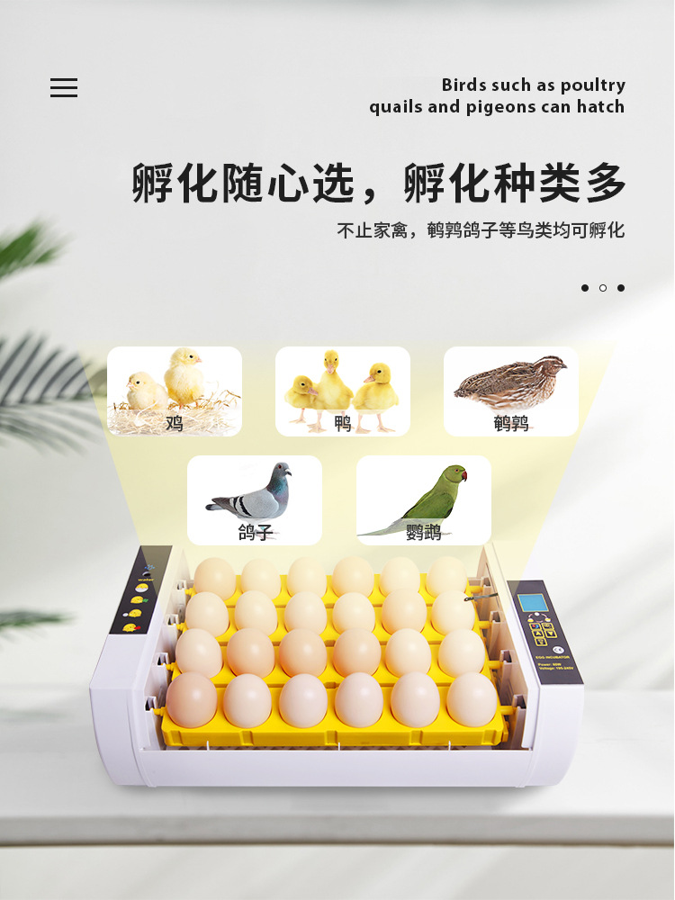 小型家用24枚小雞孵化器 輕松開啟家庭養(yǎng)殖之旅