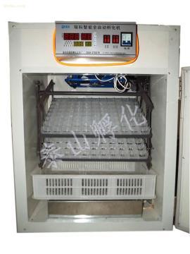 全自動(dòng)孵化器 現(xiàn)代家禽養(yǎng)殖的高效解決方案