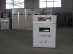 德州恒源孵化設(shè)備廠(chǎng) 專(zhuān)業(yè)家禽孵化解決方案提供商